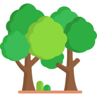 foret