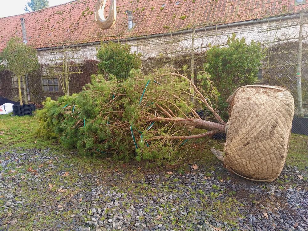 Livraison près de Bondues
